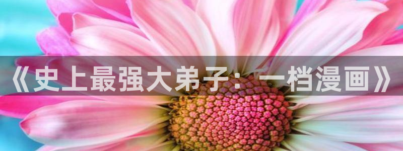 51漫画网站免费下载