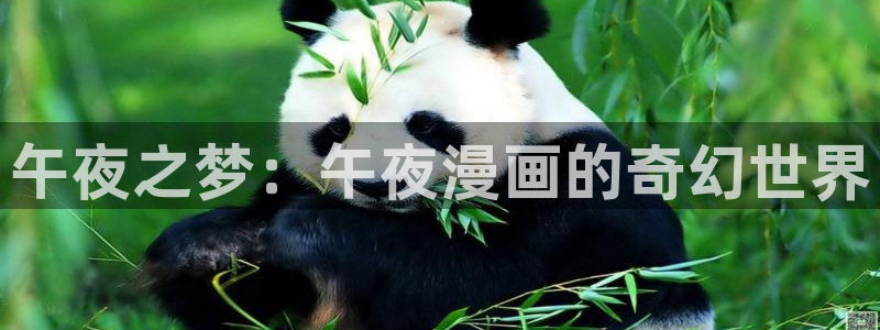 51漫画旧版本怎样下载